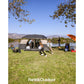 FanttikOutdoor Zeta C10 Pro Max 10 Person Camping Tent